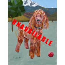 Red Standard Poodle Red Standard Poodle